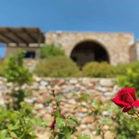 Вилла Artemis Island